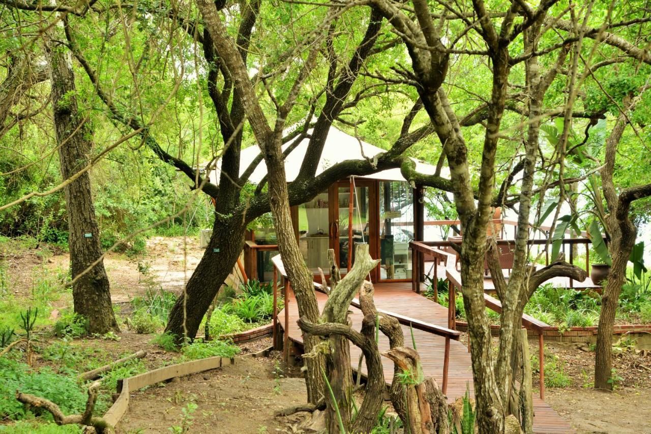 Nibela Lake Lodge By Dream Resorts Hluhluwe Exterior foto